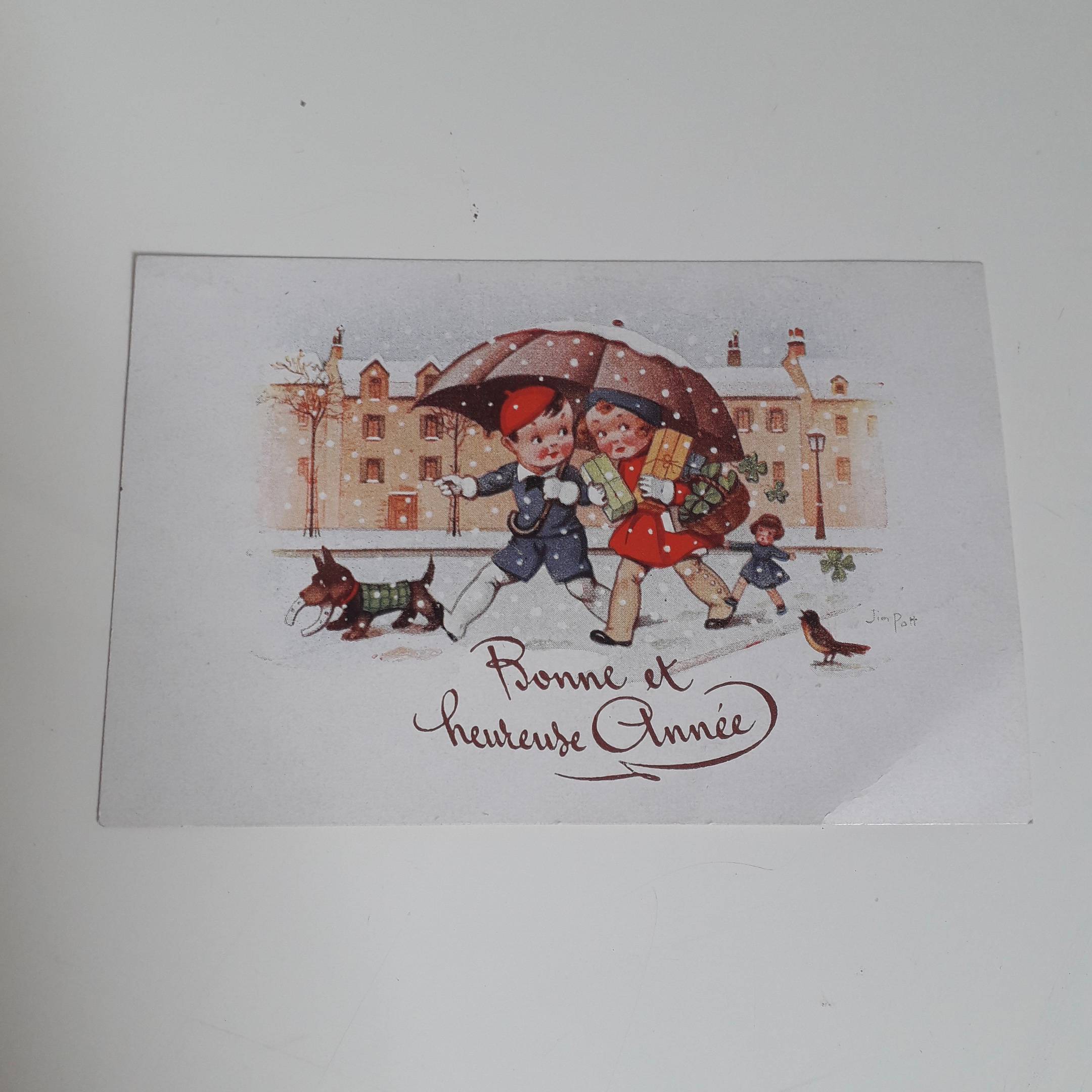 VENDU – Ancien album pour cartes postales dessins œillets – Le